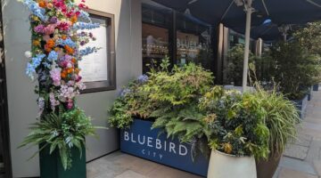 Bluebird City Exterior